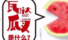 抖音瓜免费吃,揭秘网红美食背后的秘密